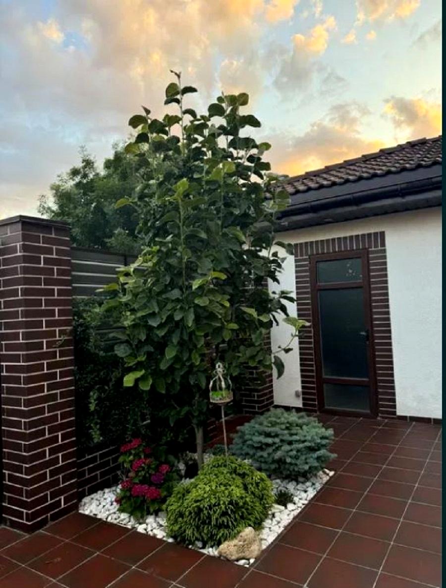 Дом по адресу ул. Китобойная (площадь 300 м²) - Atlanta.ua - фото 13