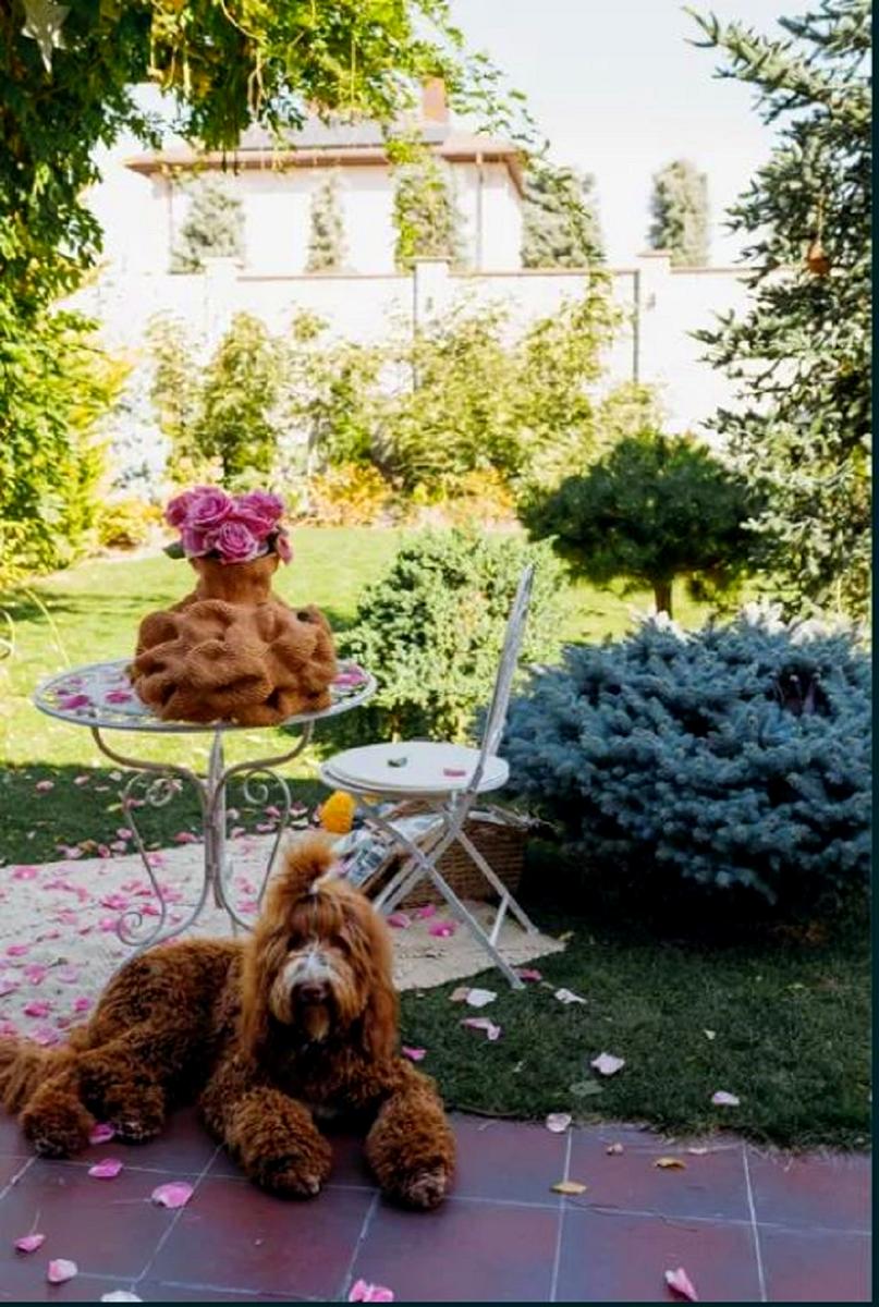 Дом по адресу ул. Китобойная (площадь 300 м²) - Atlanta.ua - фото 14