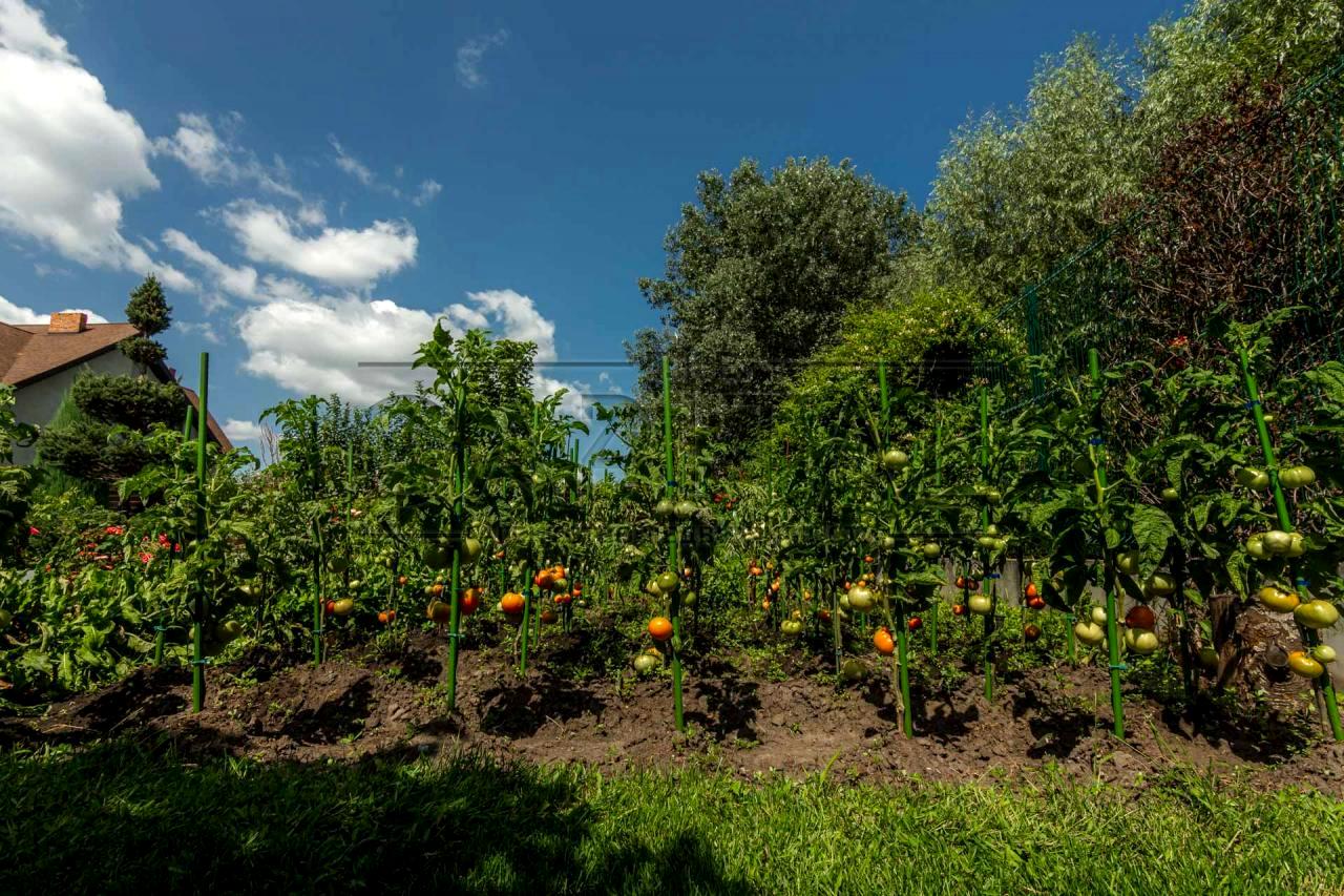 Дом по адресу (площадь 360 м²) - Atlanta.ua - фото 22