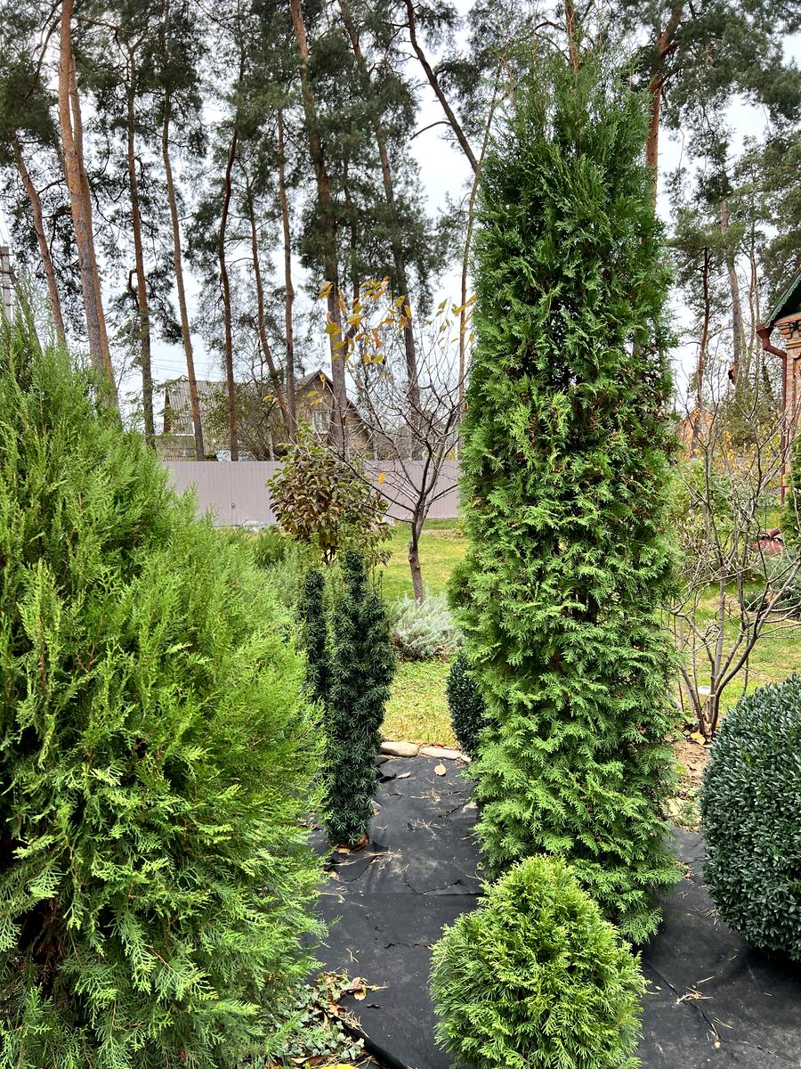 House by the address st. Khmelnitskogo B (area 70 m²) - Atlanta.ua - photo 92