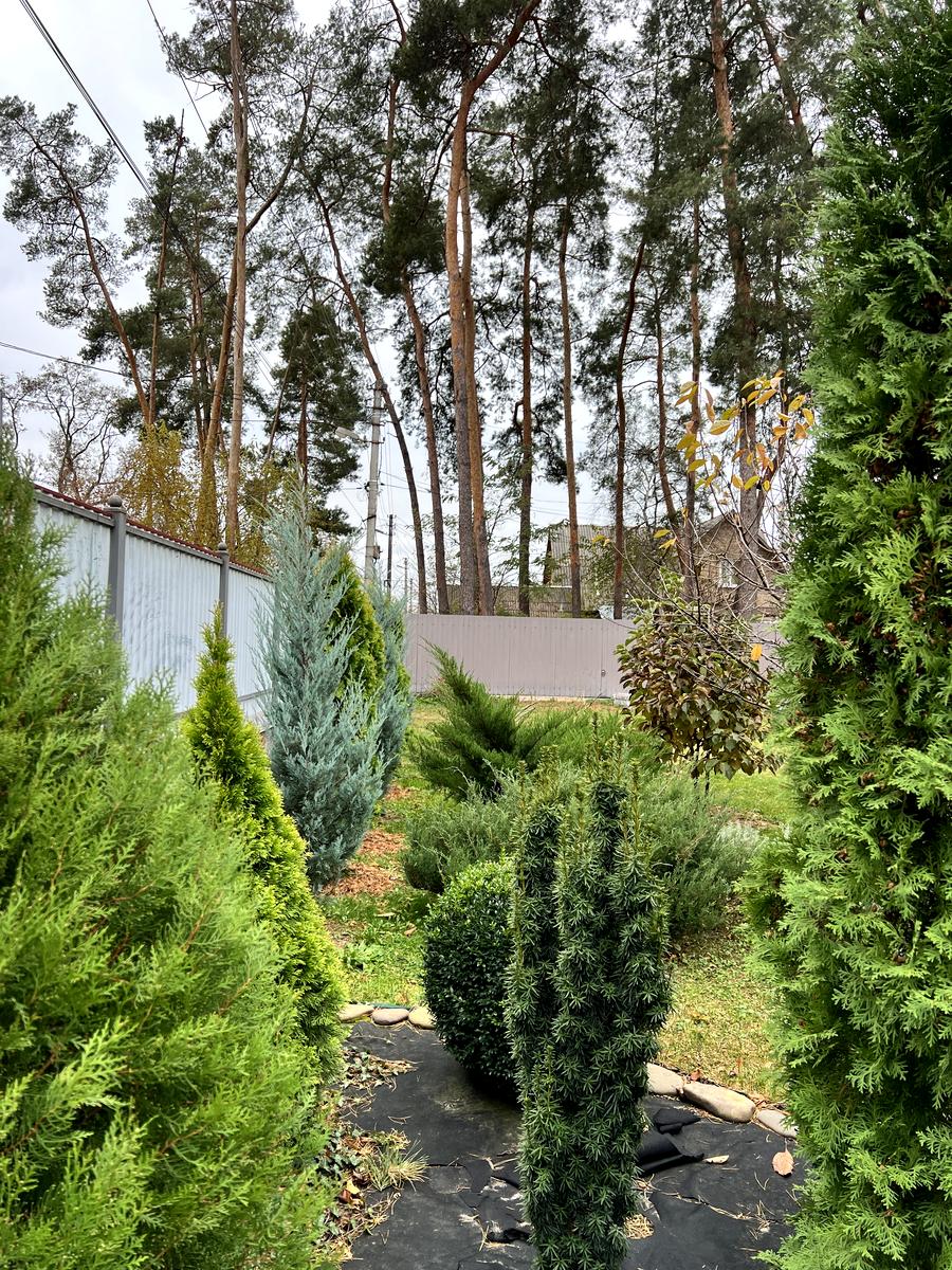 House by the address st. Khmelnitskogo B (area 70 m²) - Atlanta.ua - photo 96