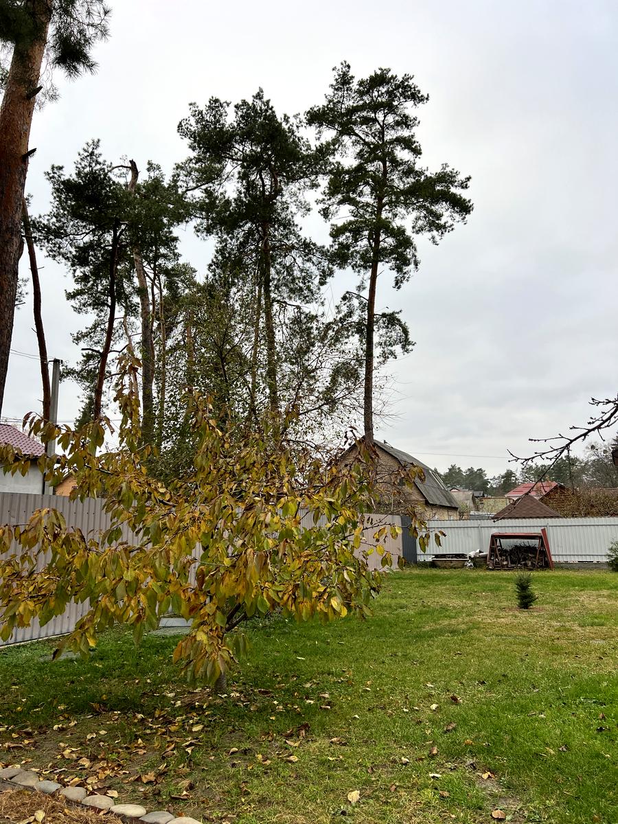 House by the address st. Khmelnitskogo B (area 70 m²) - Atlanta.ua - photo 111