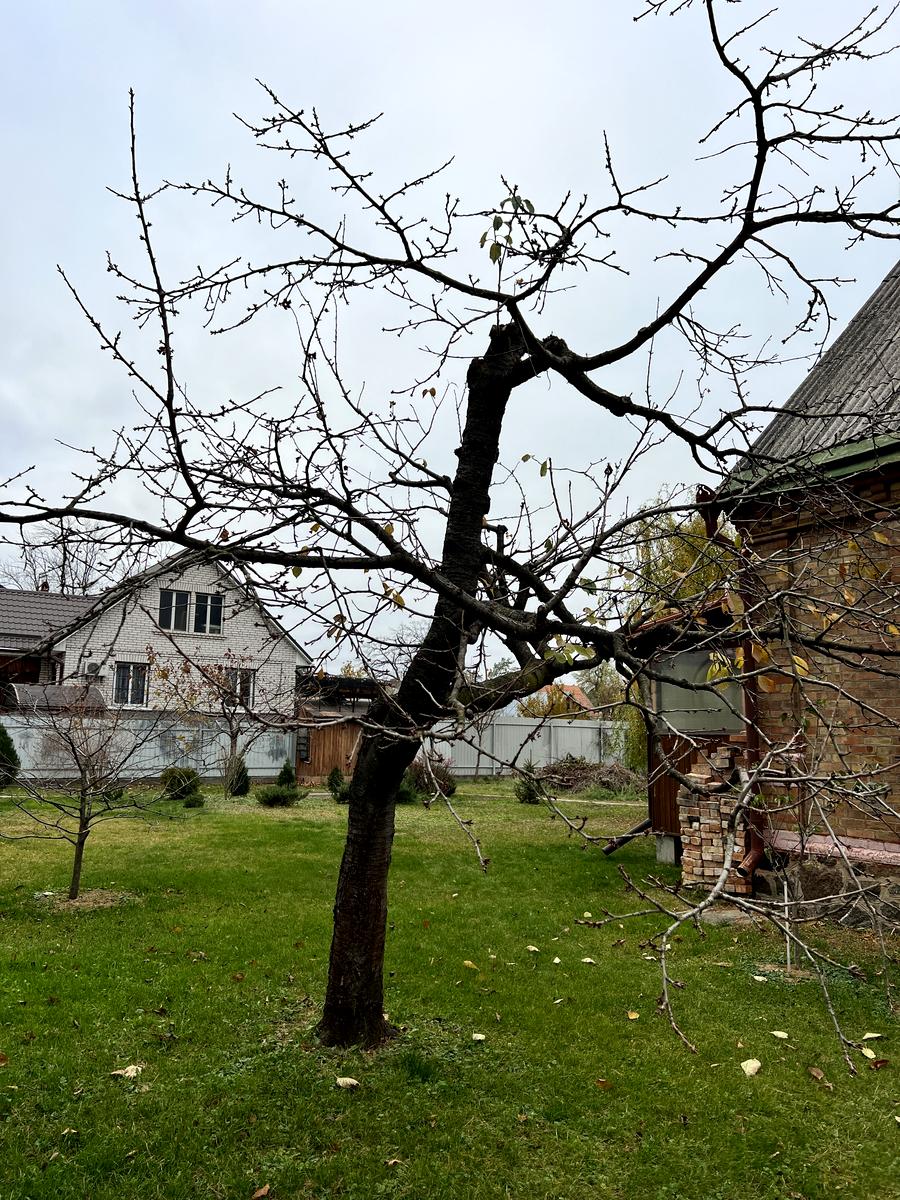 House by the address st. Khmelnitskogo B (area 70 m²) - Atlanta.ua - photo 112