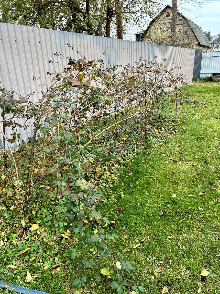 House by the address st. Khmelnitskogo B (area 70 m²) - Atlanta.ua - photo 113