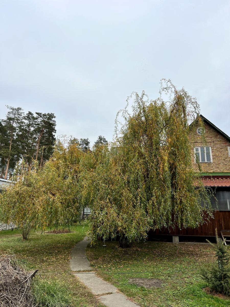 House by the address st. Khmelnitskogo B (area 70 m²) - Atlanta.ua - photo 120