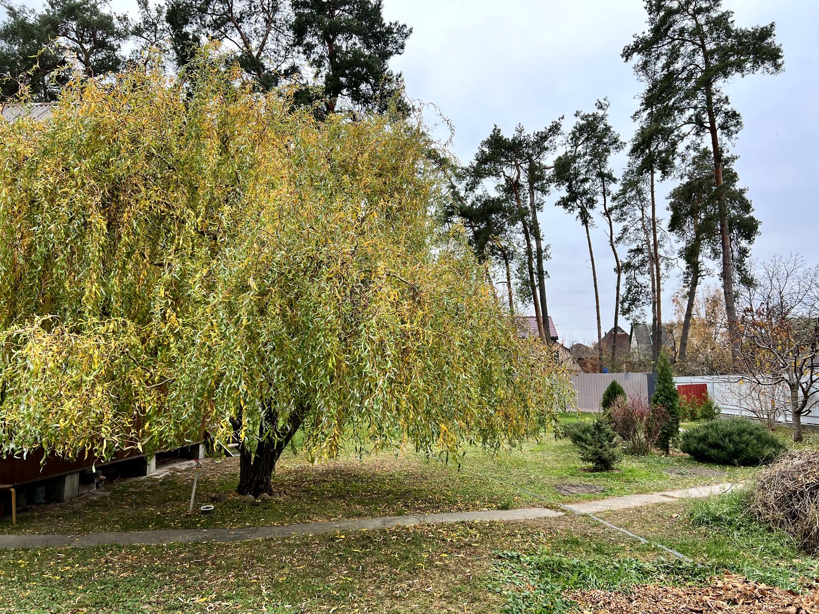 House by the address st. Khmelnitskogo B (area 70 m²) - Atlanta.ua - photo 123