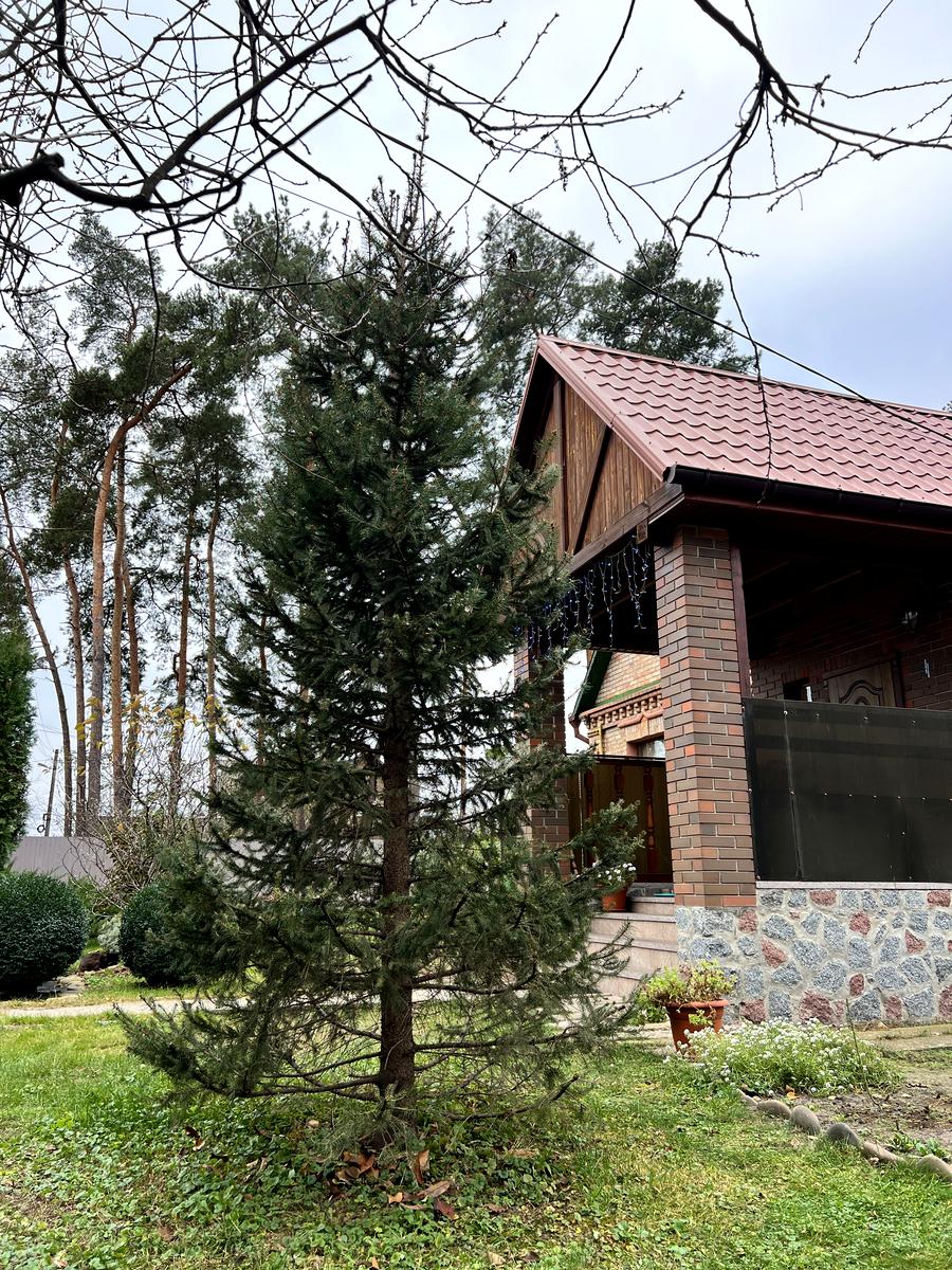House by the address st. Khmelnitskogo B (area 70 m²) - Atlanta.ua - photo 136