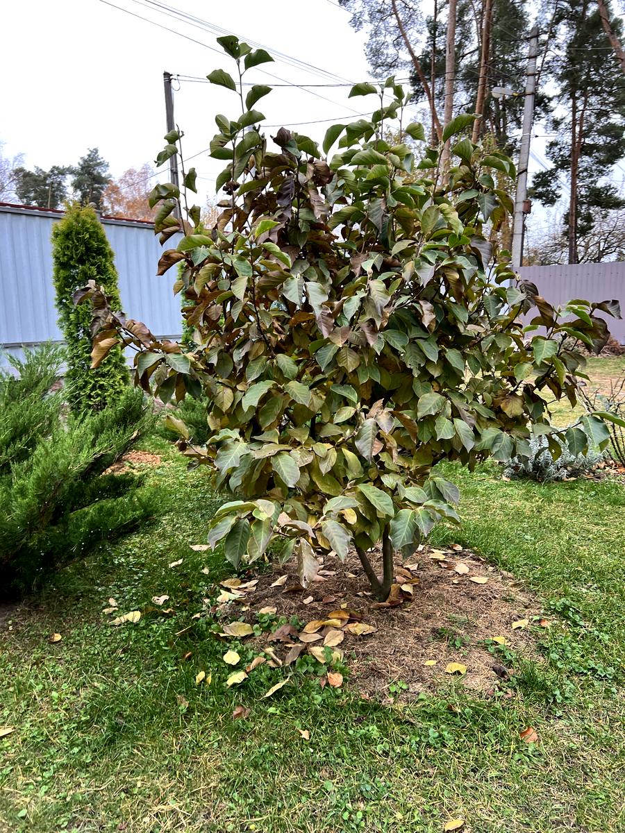 House by the address st. Khmelnitskogo B (area 70 m²) - Atlanta.ua - photo 138