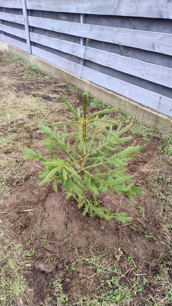 Будинок за адресою (площа 125 м²) - Atlanta.ua - фото 23