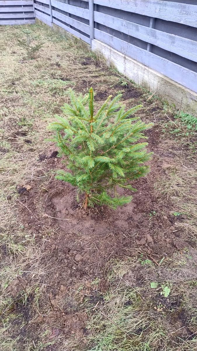 Будинок за адресою (площа 125 м²) - Atlanta.ua - фото 24