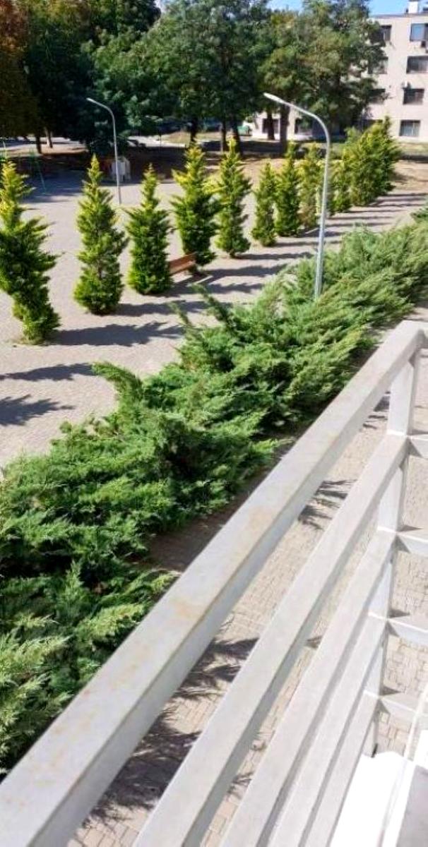 1-room apartment apartment by the address st. Khimicheskaya (area 30 m²) - Atlanta.ua - photo 3