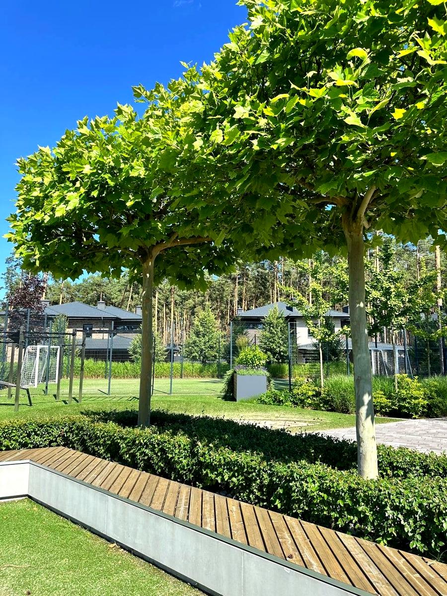 Дом по адресу ул. Институтская (площадь 217 м²) - Atlanta.ua - фото 19