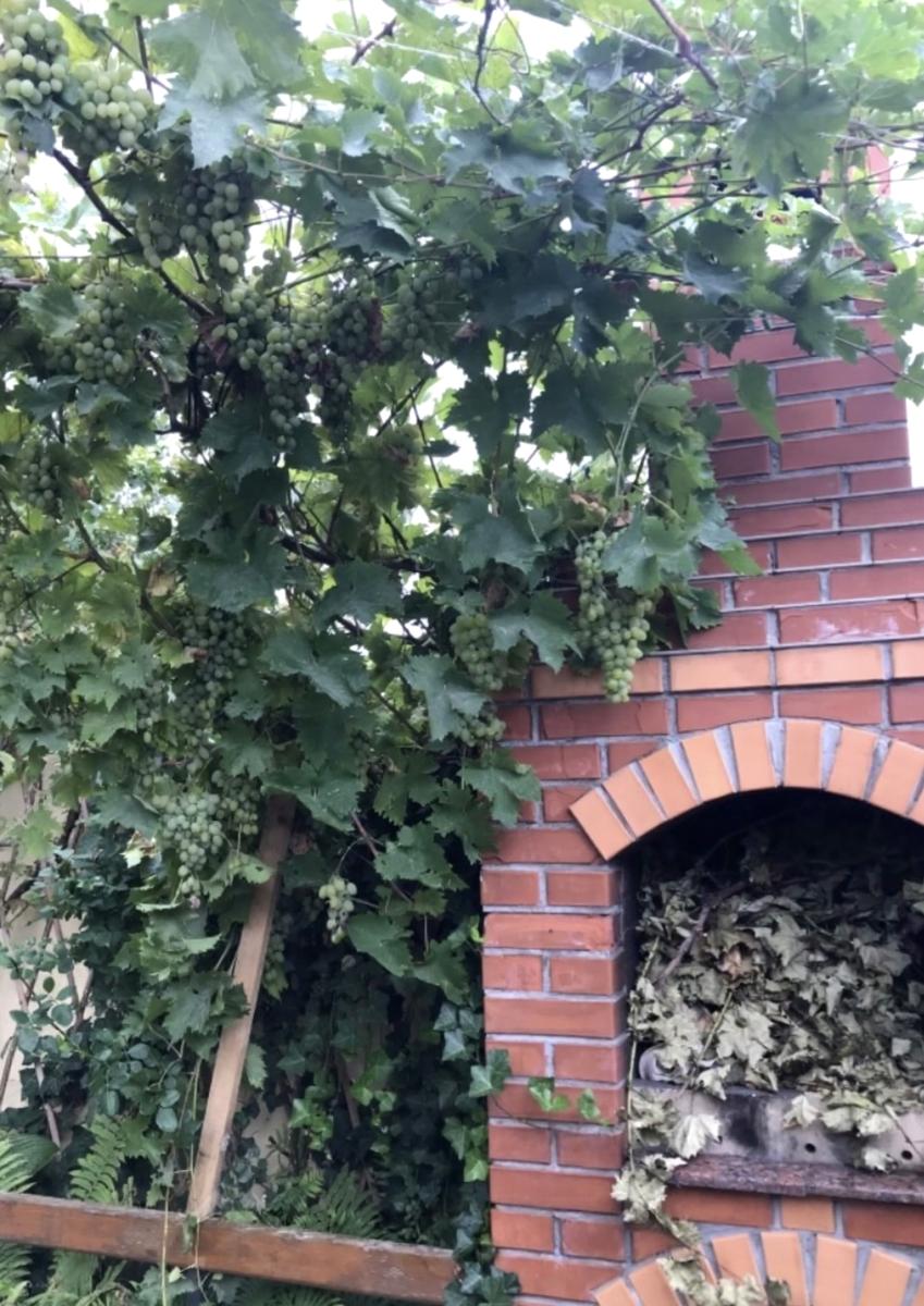 Будинок за адресою вул. Центральна (площа 150 м²) - Atlanta.ua - фото 7