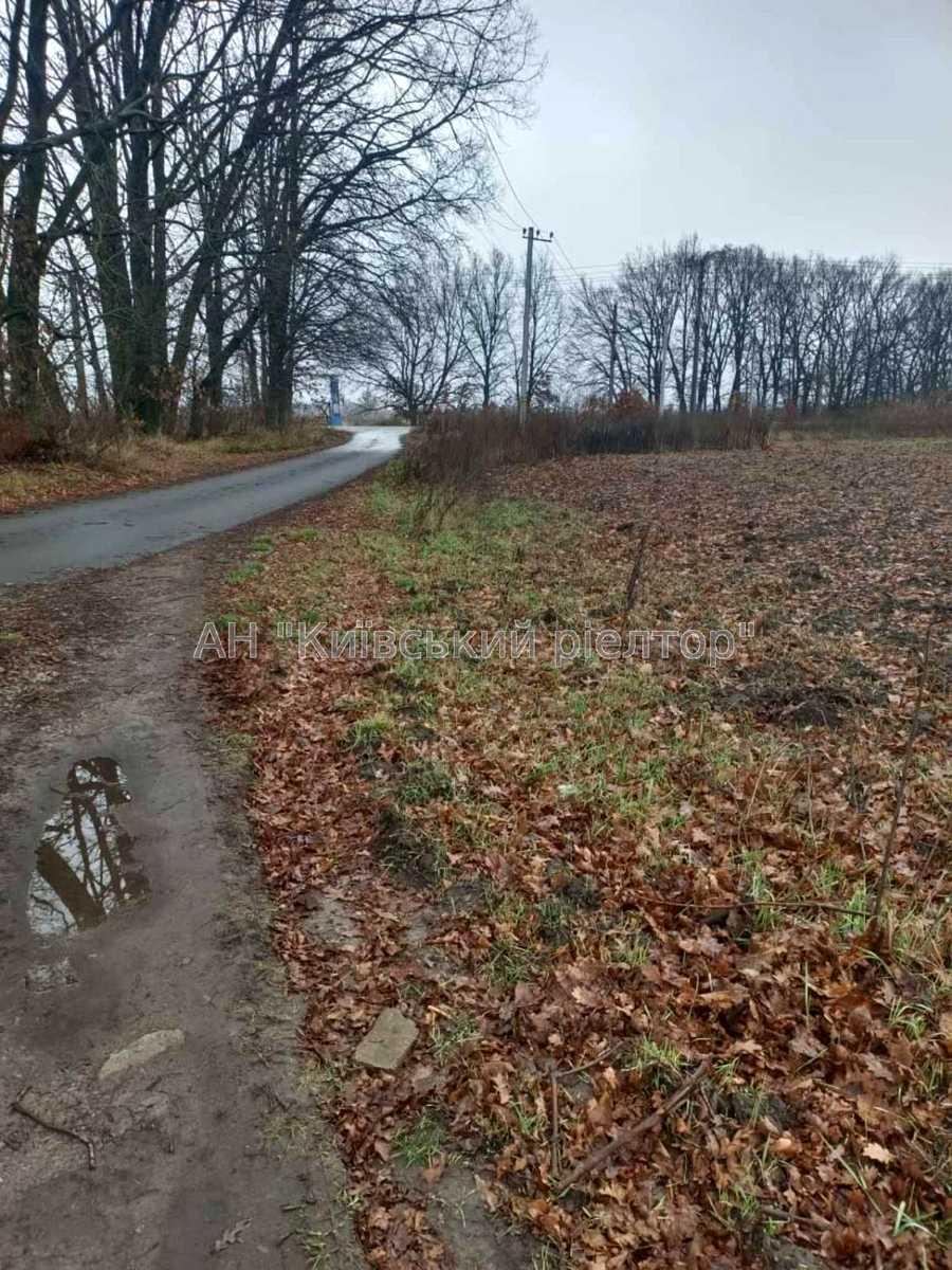 1852571780266370
