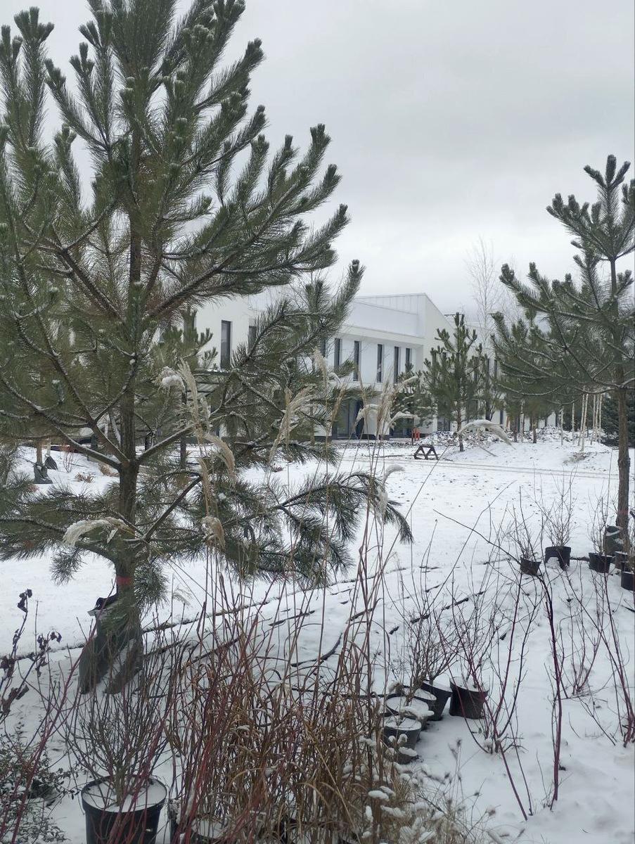 House by the address (area 144 m²) - Atlanta.ua - photo 21