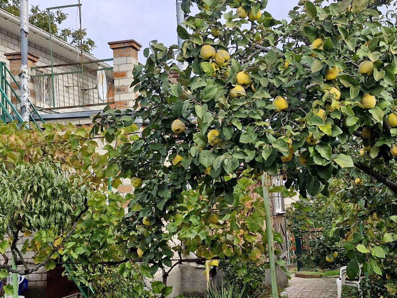 The object is removed from sale. - Atlanta.ua - photo 15