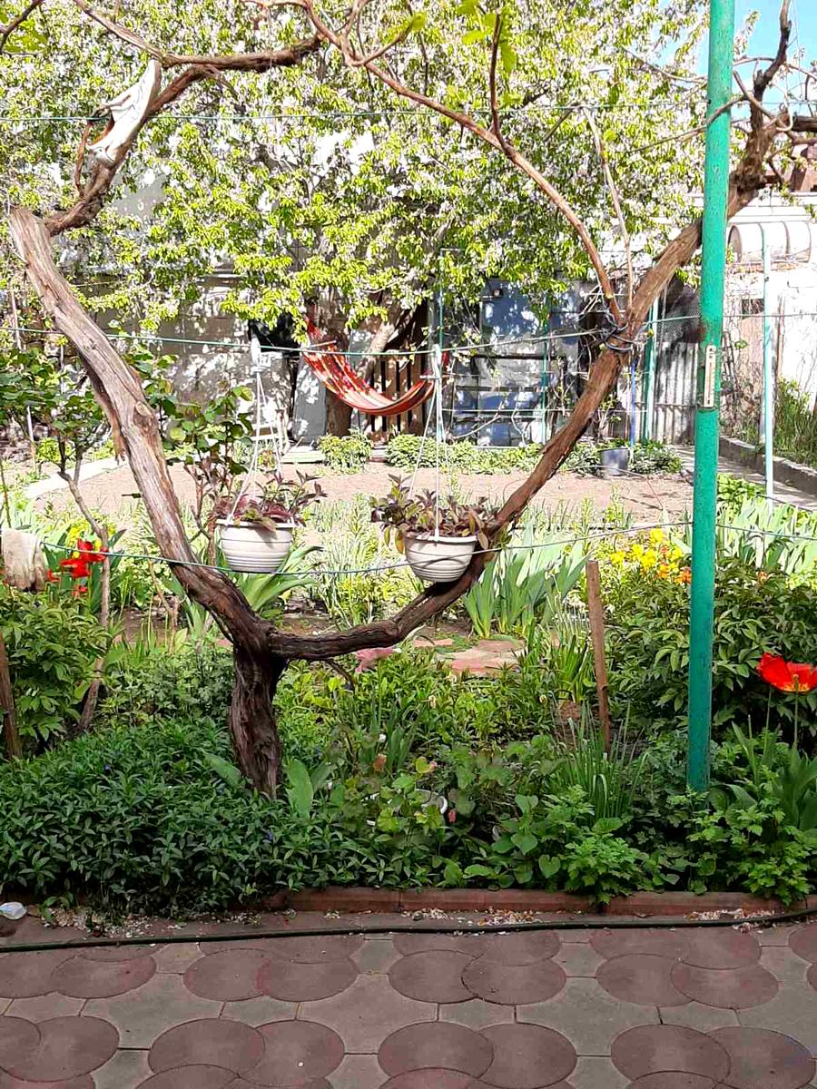 Дом по адресу ул. Харьковская (площадь 110 м²) - Atlanta.ua - фото 7