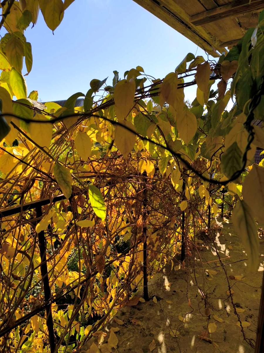 House by the address st. Abrikosovaya (area 200 m²) - Atlanta.ua - photo 7