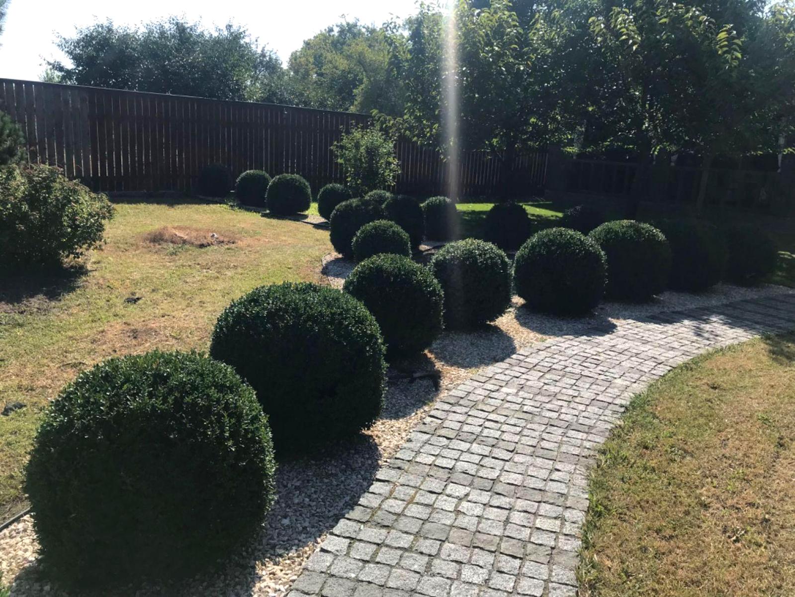 Дом по адресу (площадь 390 м²) - Atlanta.ua - фото 13