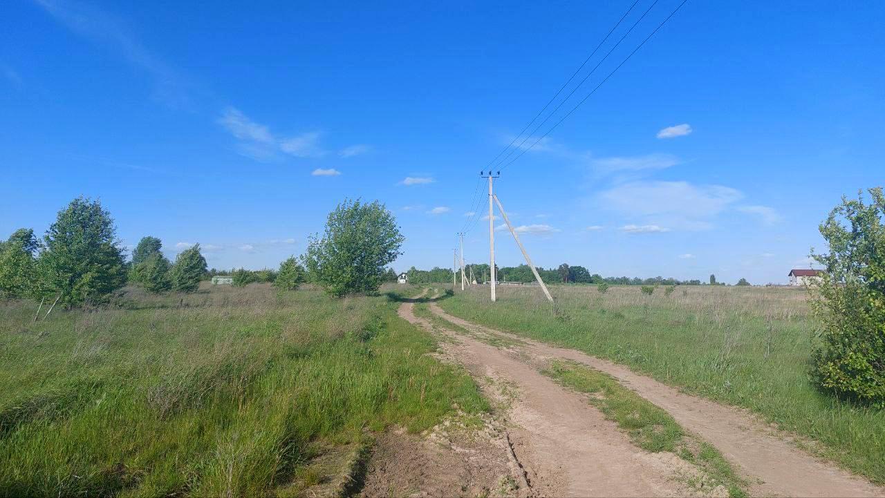 1853498482036069