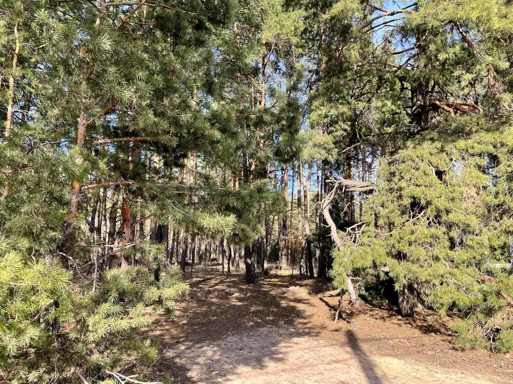 Дом по адресу (площадь 127 м²) - Atlanta.ua - фото 54