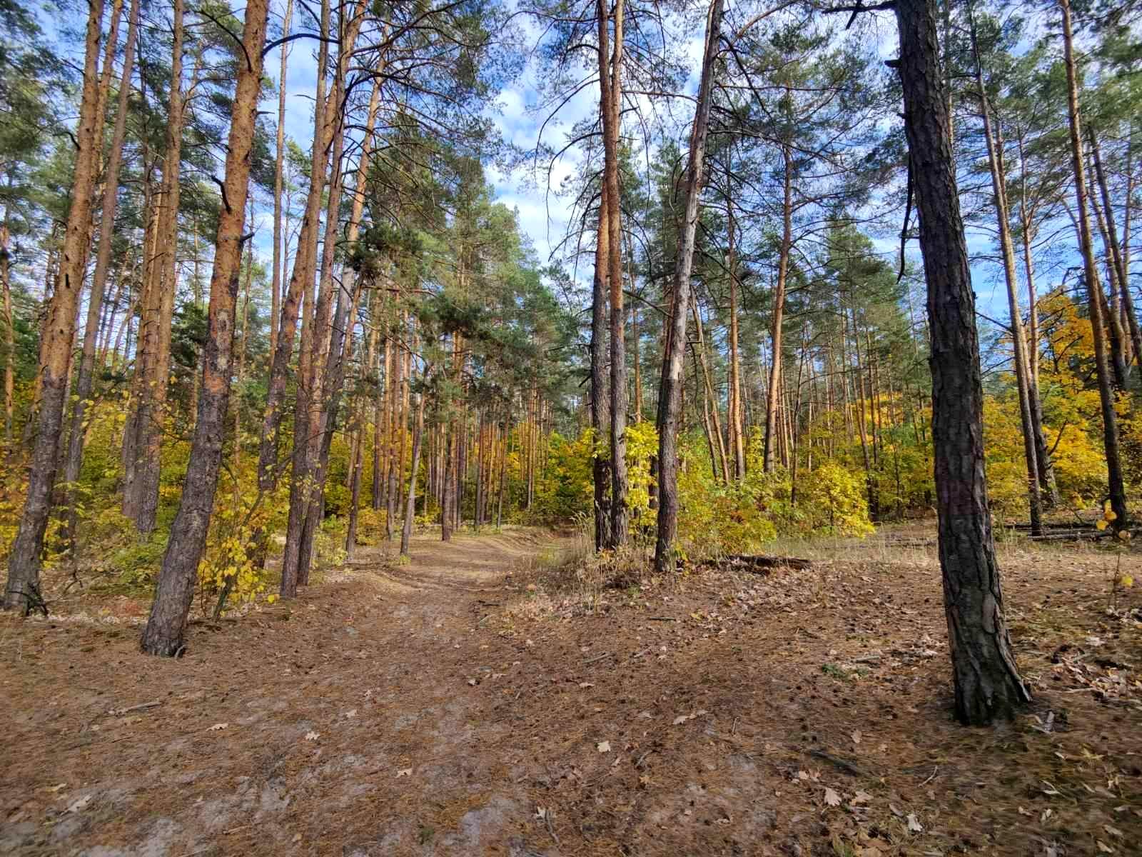 Будинок за адресою (площа 150 м²) - Atlanta.ua - фото 6
