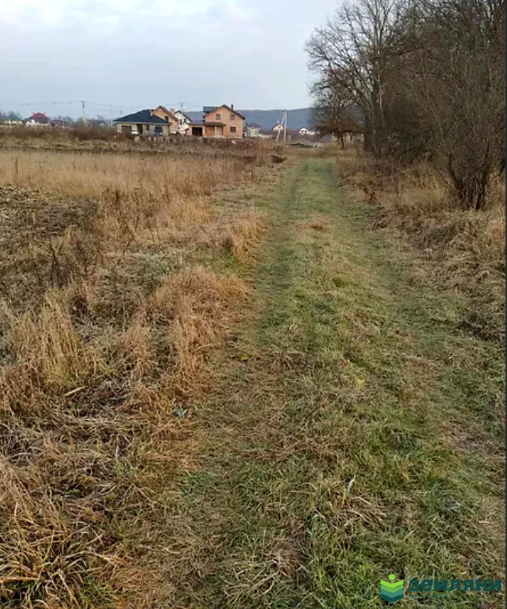 1853754103353494