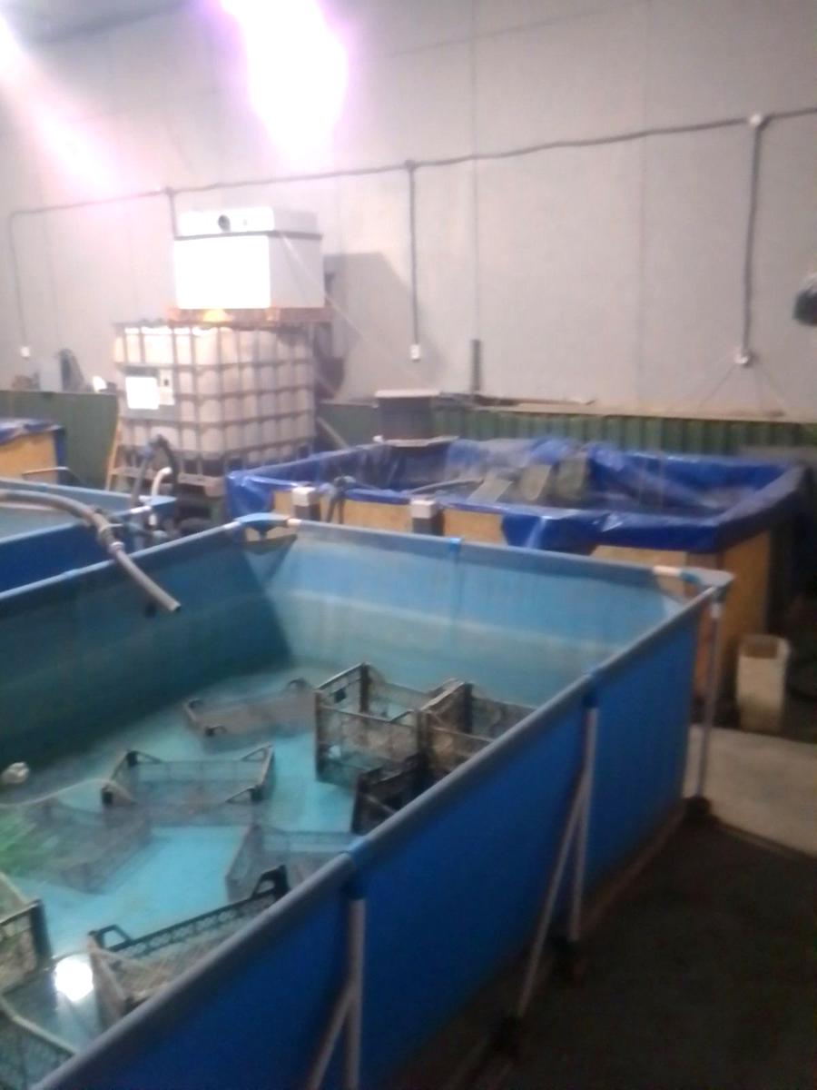 Комерційна нерухомість за адресою (площа 1200 м²) - Atlanta.ua - фото 7