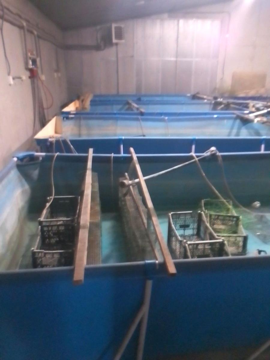 Комерційна нерухомість за адресою (площа 1200 м²) - Atlanta.ua - фото 5