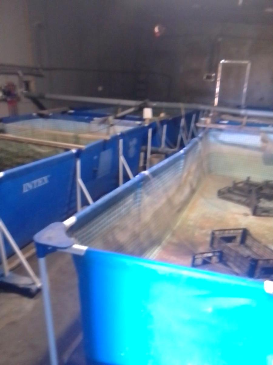 Комерційна нерухомість за адресою (площа 1200 м²) - Atlanta.ua - фото 9