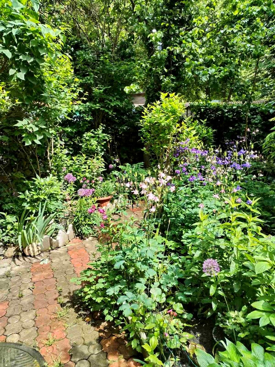 3-комнатная квартира по адресу ул. 6-я линия (площадь 80 м²) - Atlanta.ua - фото 18