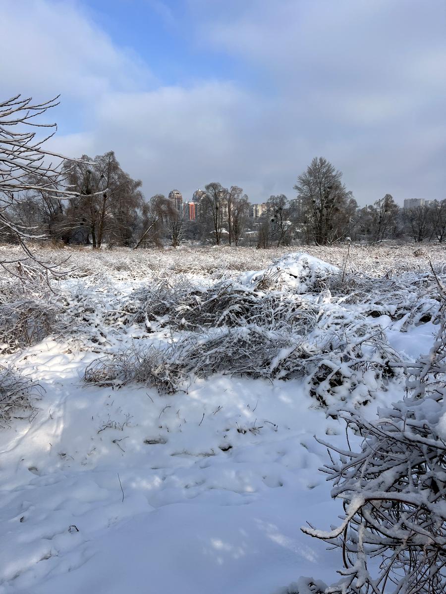 Дом по адресу (площадь 79 м²) - Atlanta.ua - фото 17