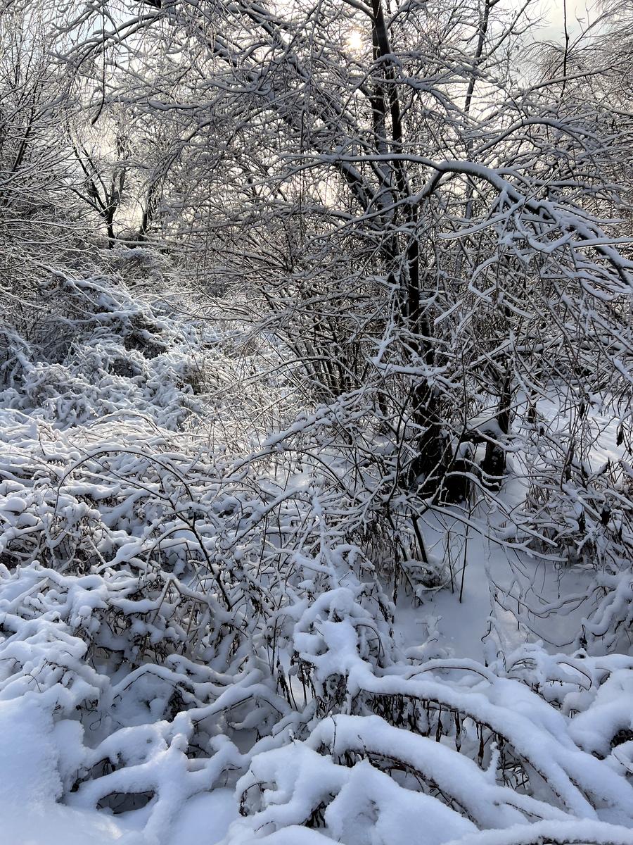 Дом по адресу (площадь 79 м²) - Atlanta.ua - фото 18