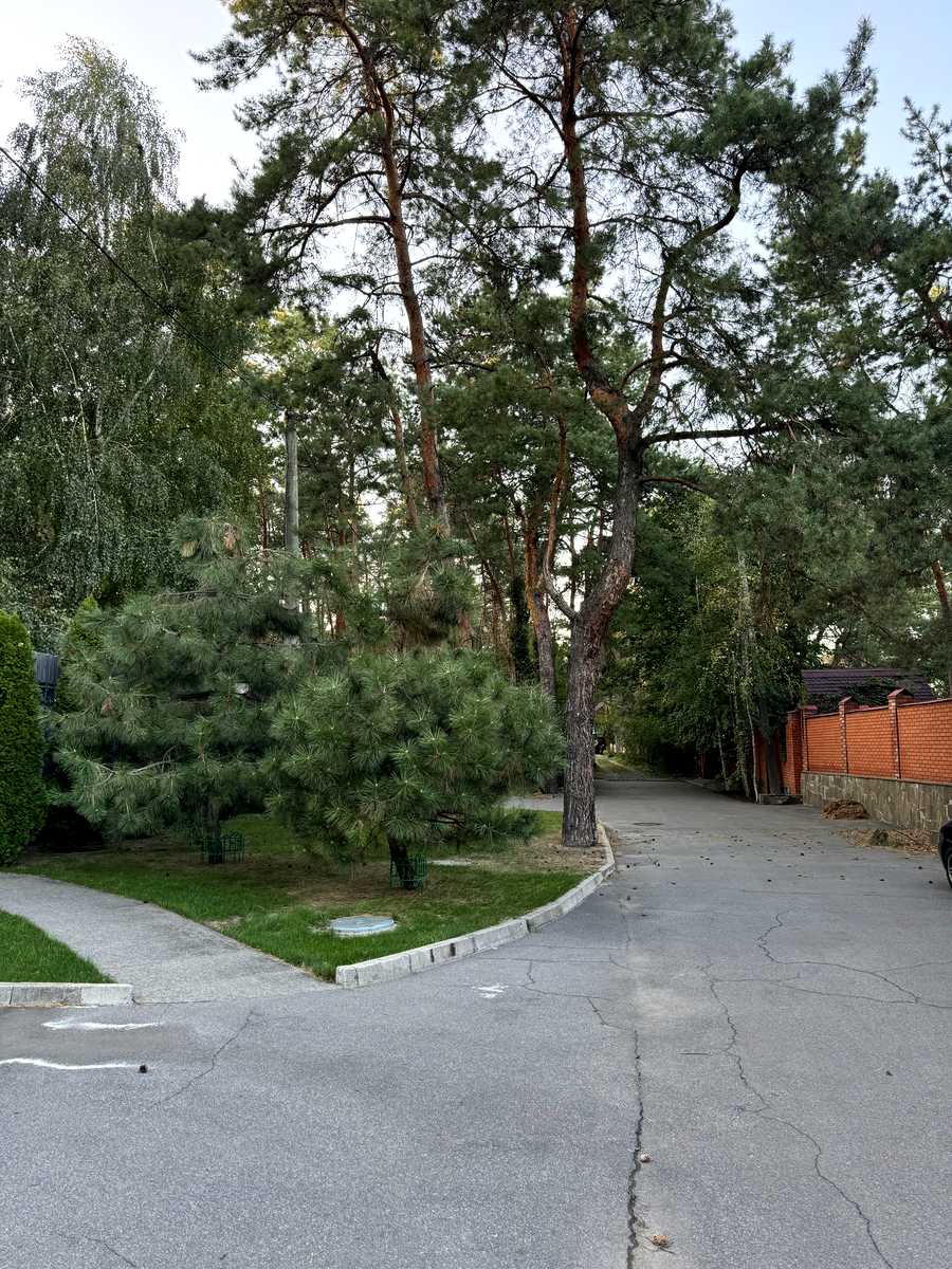 1854477234122419