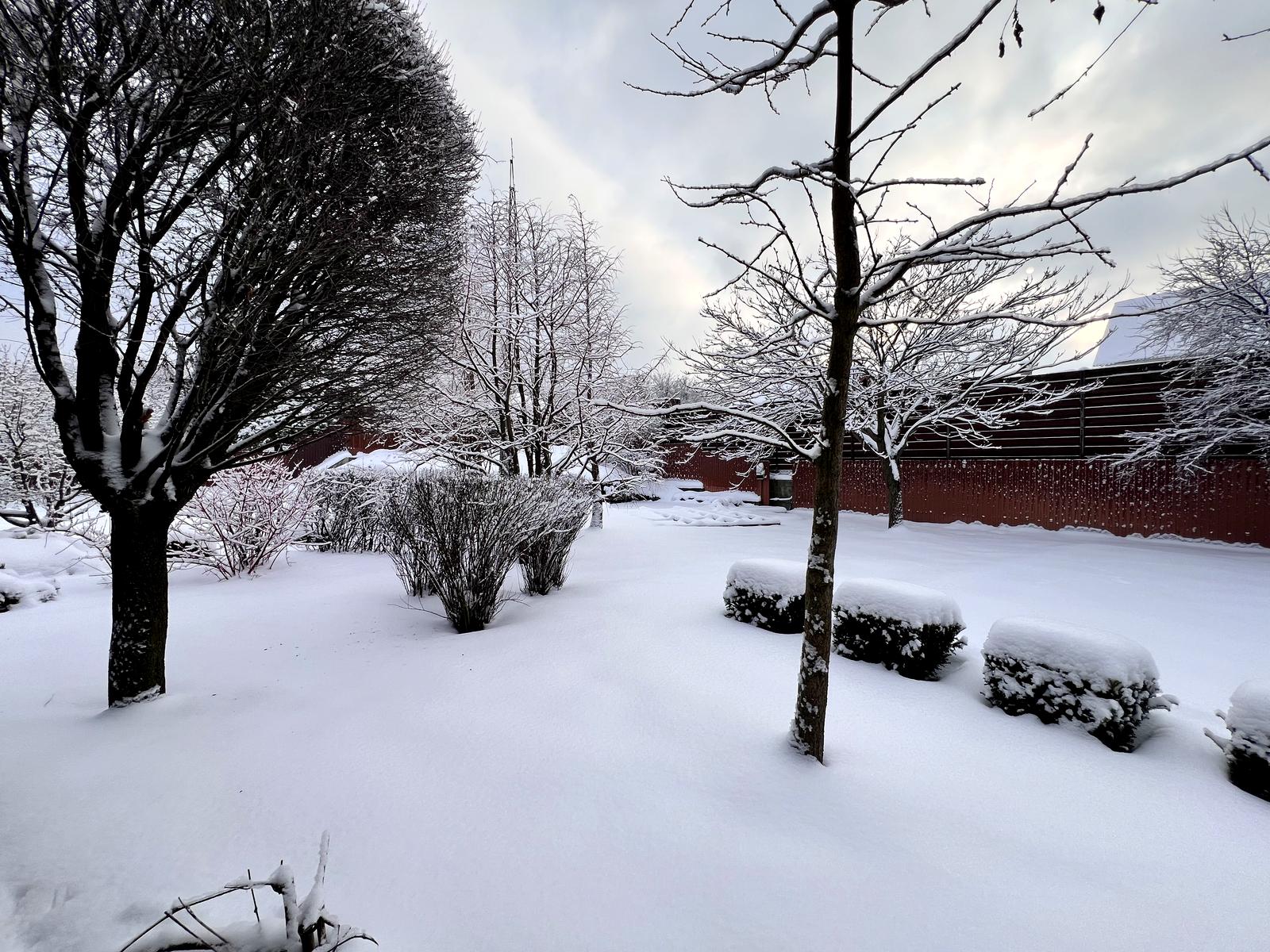 Будинок за адресою (площа 300 м²) - Atlanta.ua - фото 33