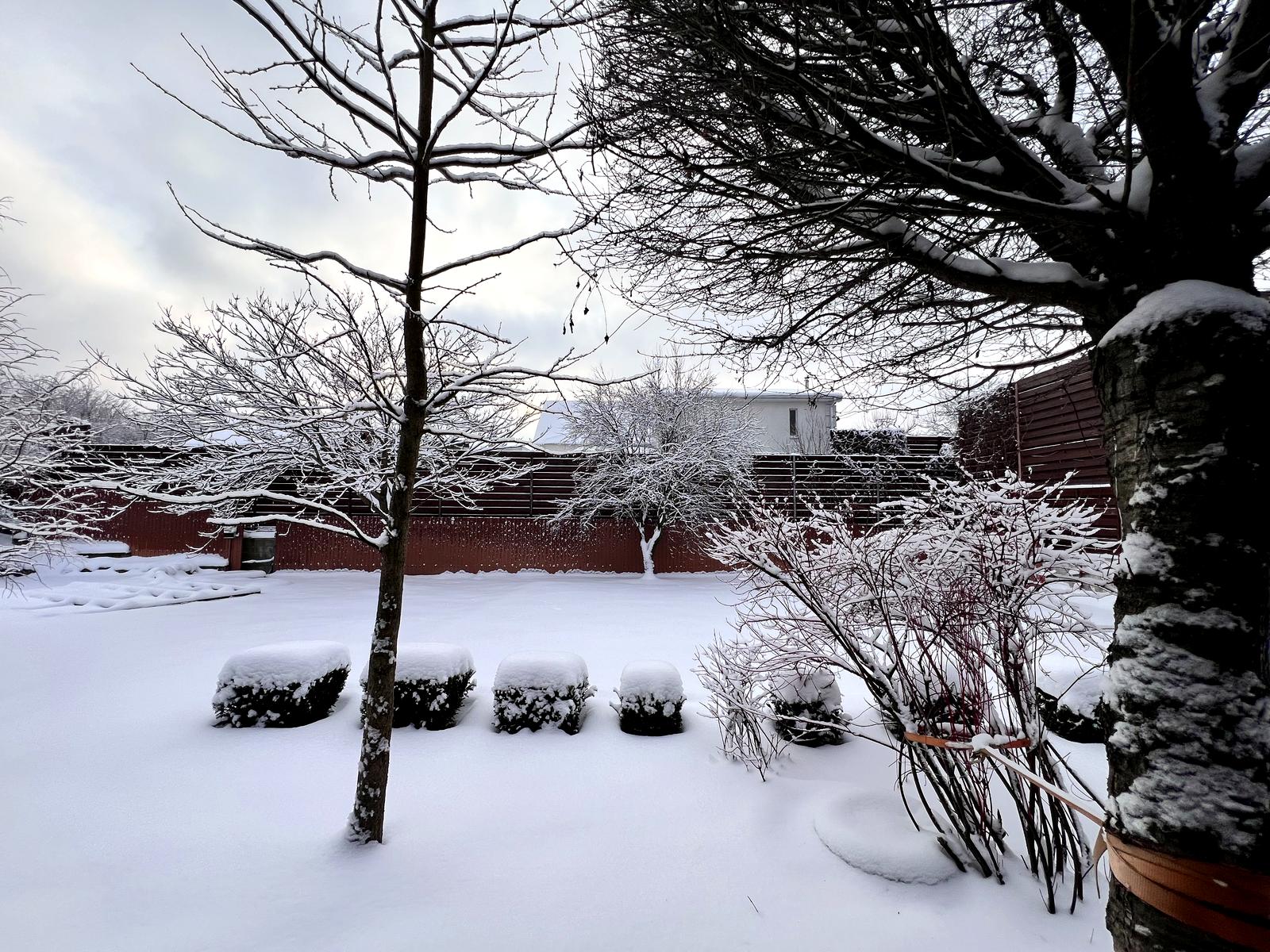 Будинок за адресою (площа 300 м²) - Atlanta.ua - фото 32