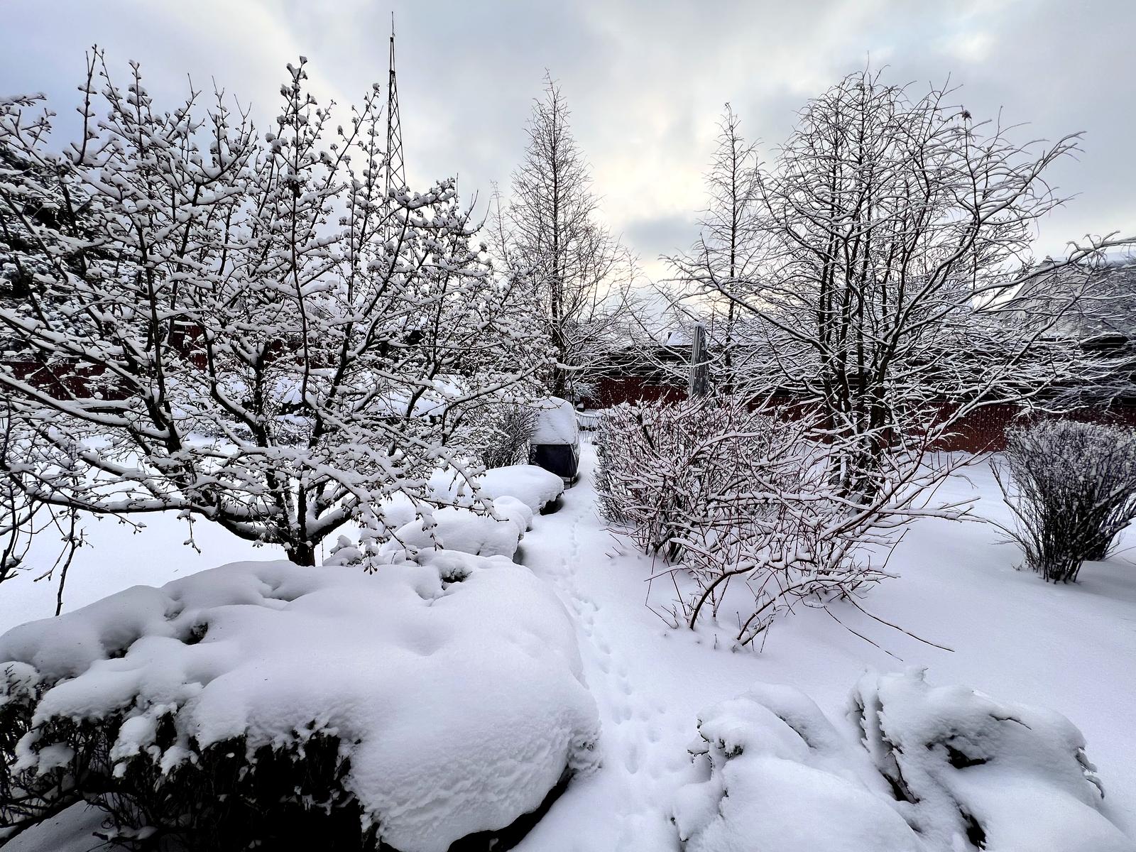 Будинок за адресою (площа 300 м²) - Atlanta.ua - фото 34