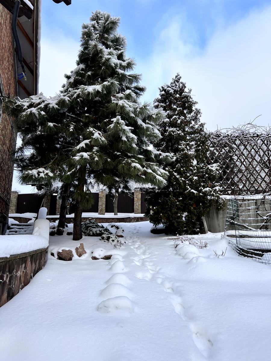 Будинок за адресою (площа 300 м²) - Atlanta.ua - фото 37