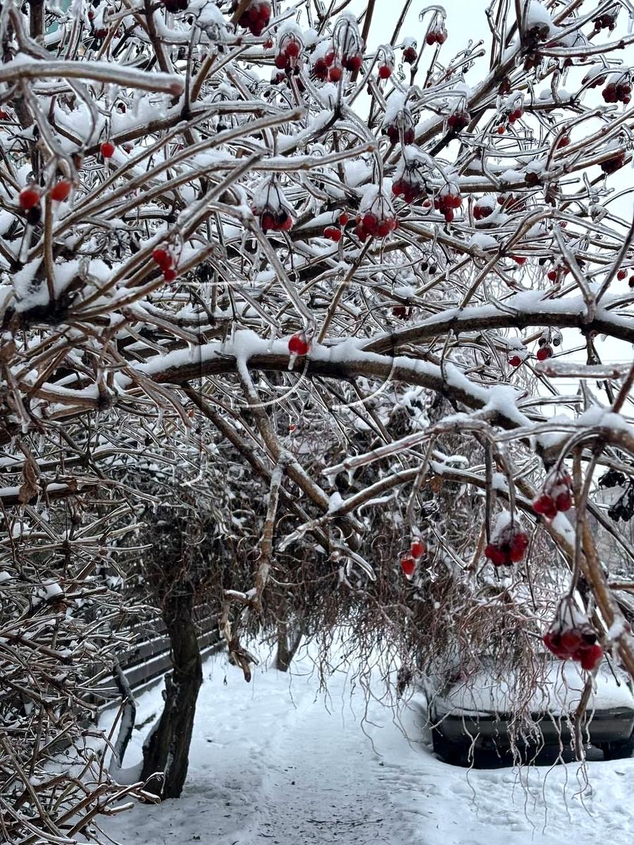 1-комнатная квартира по адресу ул. Зеленая (площадь 44 м²) - Atlanta.ua - фото 18