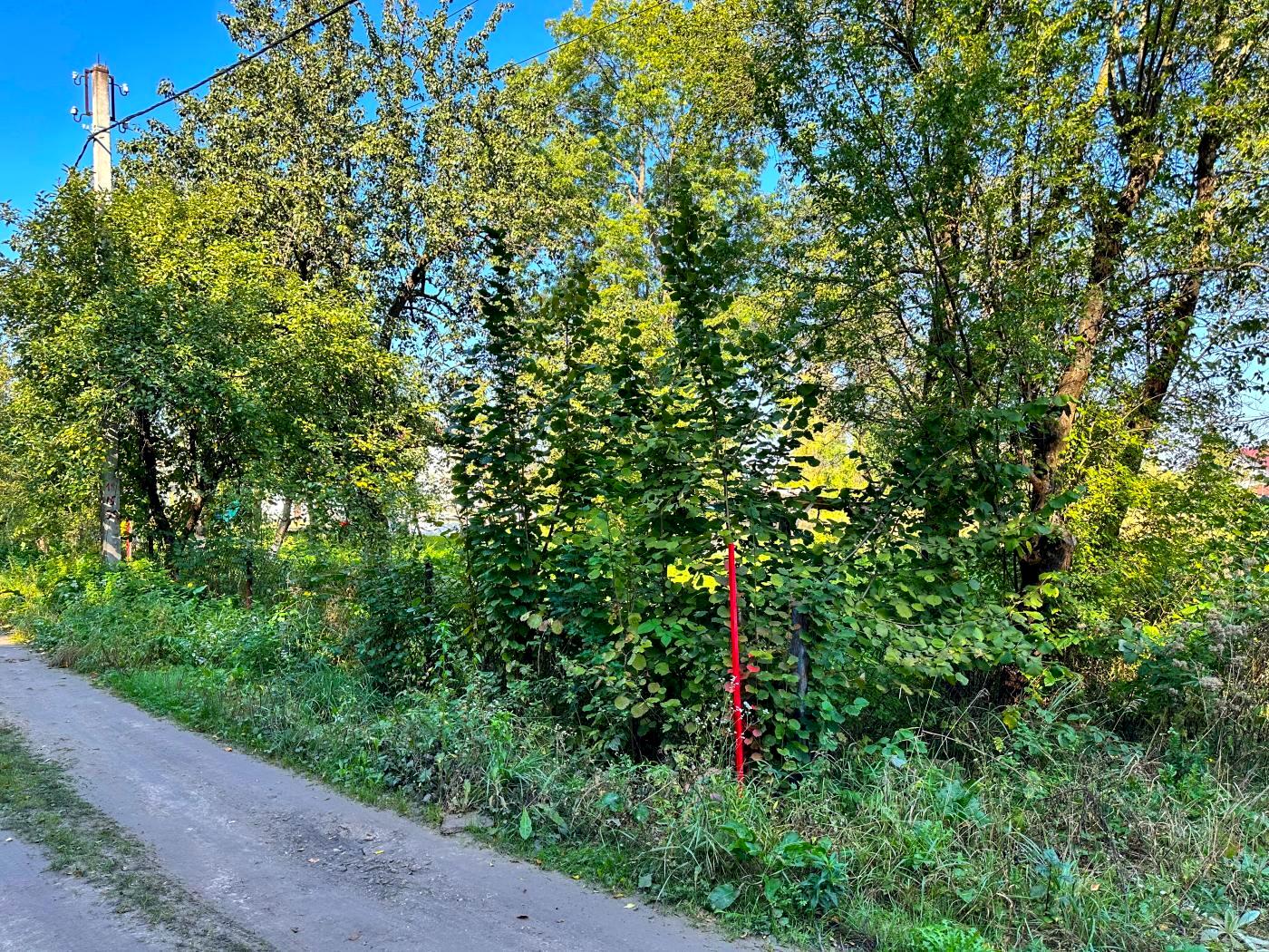 1854834418331545