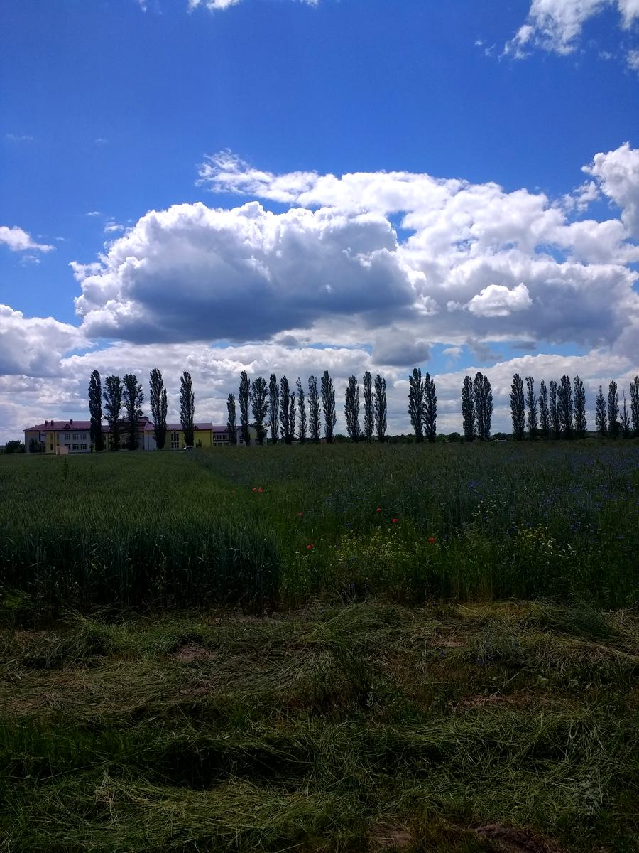 1854841378489981