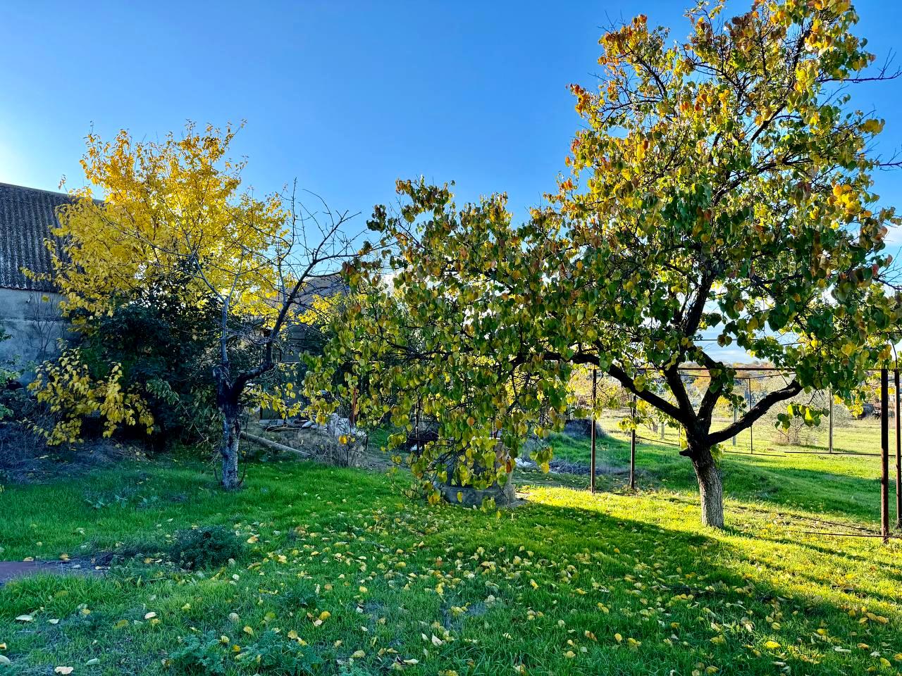 Будинок за адресою вул. Центральна (площа 65 м²) - Atlanta.ua - фото 16