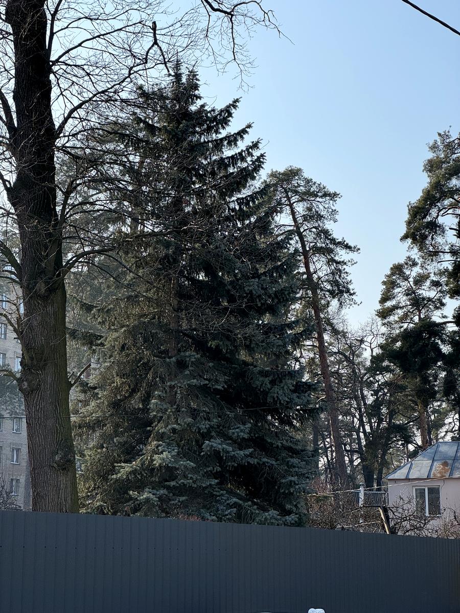 Дом по адресу ул. Нежинская (площадь 135 м²) - imageAlt 16 Дом по адресу ул. Нежинская (площадь 135 м²) - Atlanta.ua - imageAlt 16