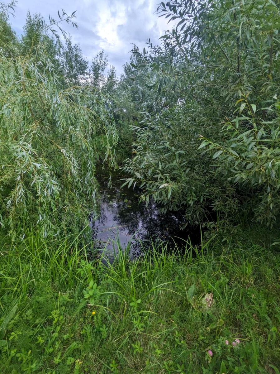 1855467257684498