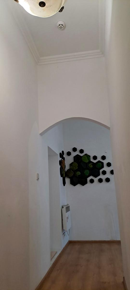 1855497733214173