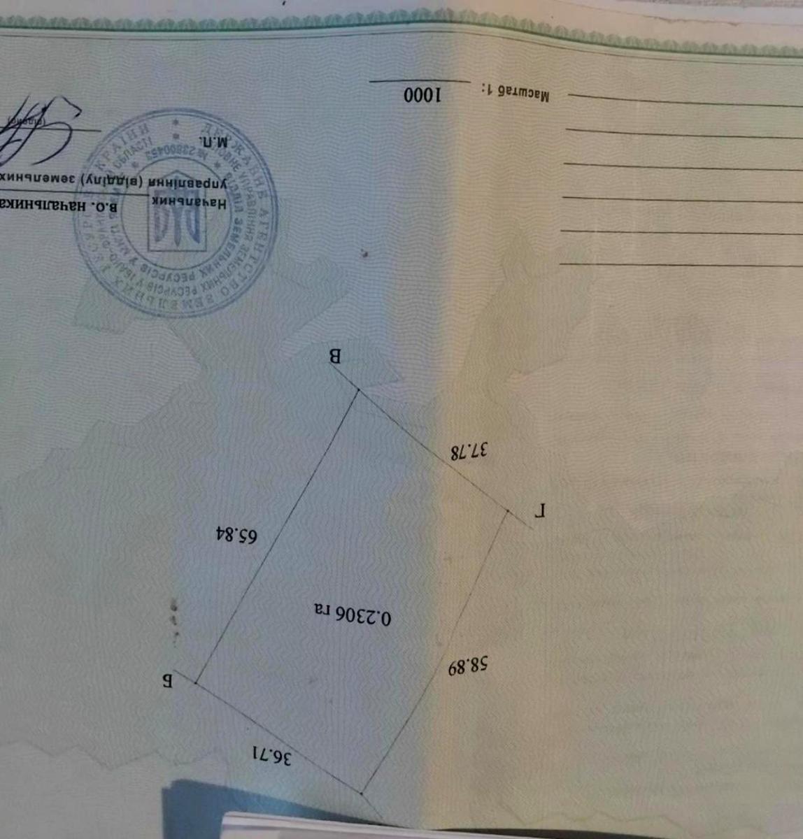 1855573091276037.jpg