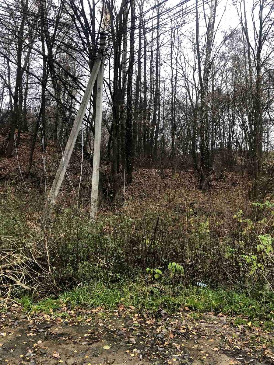 1855640924155025