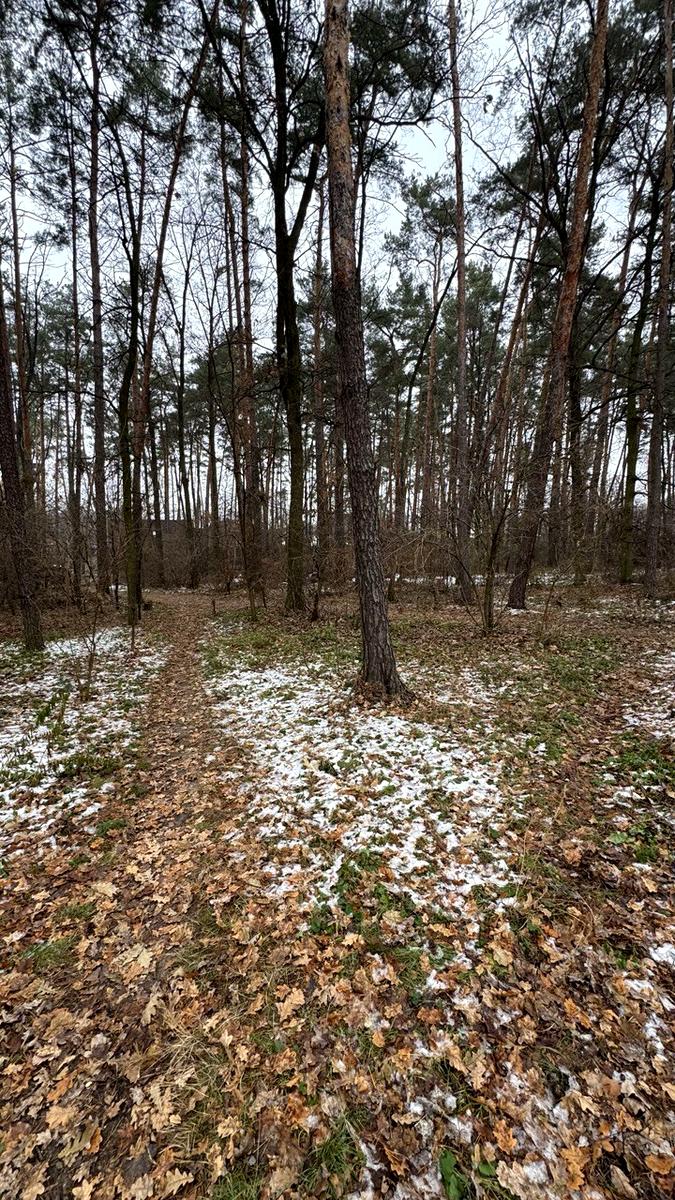1855728795120501