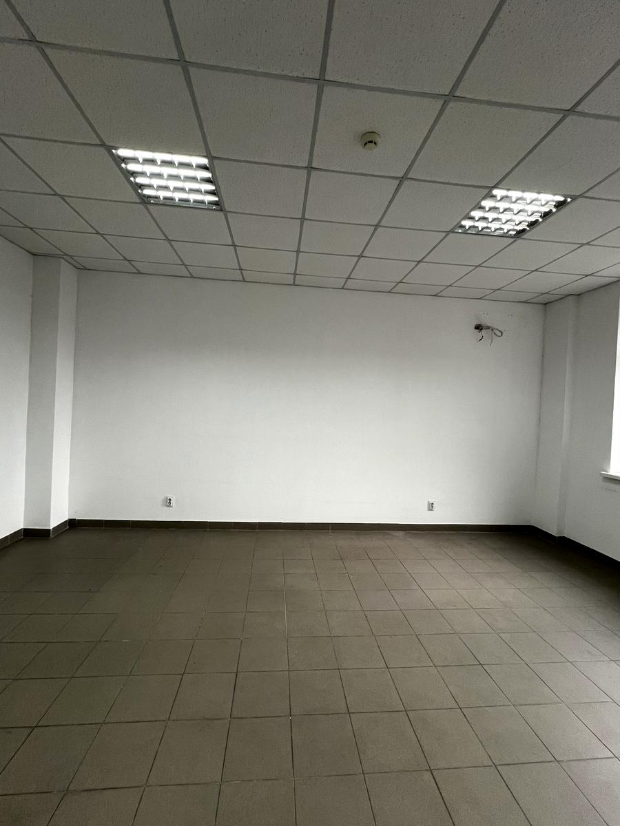 1855781524195234