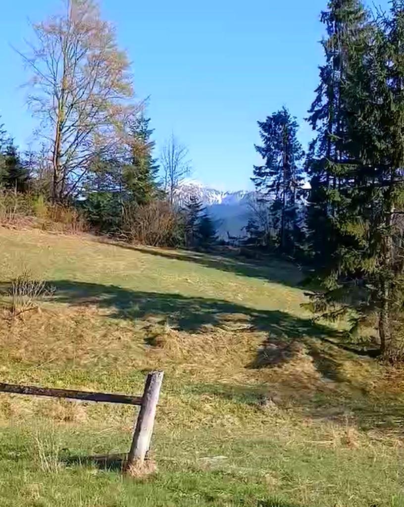 1855856323325253